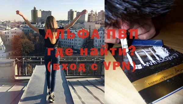 ГАЛЛЮЦИНОГЕННЫЕ ГРИБЫ Наволоки