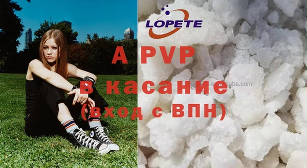 ГАЛЛЮЦИНОГЕННЫЕ ГРИБЫ Наволоки