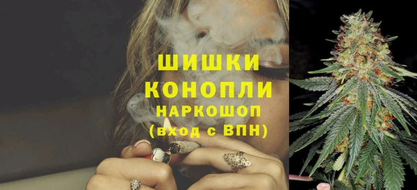 ГАЛЛЮЦИНОГЕННЫЕ ГРИБЫ Наволоки