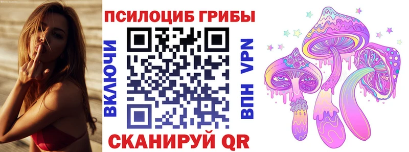 Галлюциногенные грибы Psilocybine cubensis где купить наркоту Славск