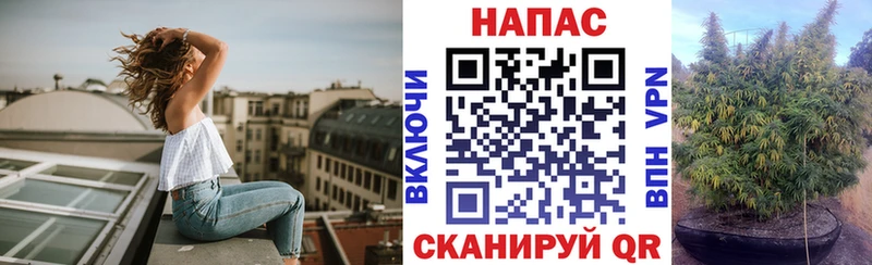 МАРИХУАНА гибрид  Славск 